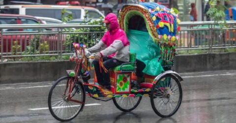 রাজধানীতে ব্যাটারিচালিত রিকশায় নতুন নিয়ম, অঞ্চলভেদে চলবে যান