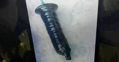 ডেমরায় দুটি বোমা সদৃশ বস্তু উদ্ধার, আটক ২